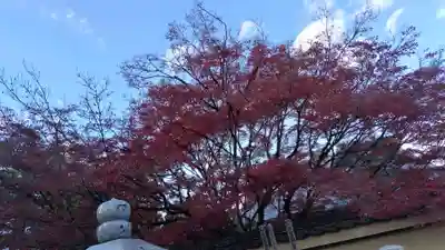 養徳院(京都府)