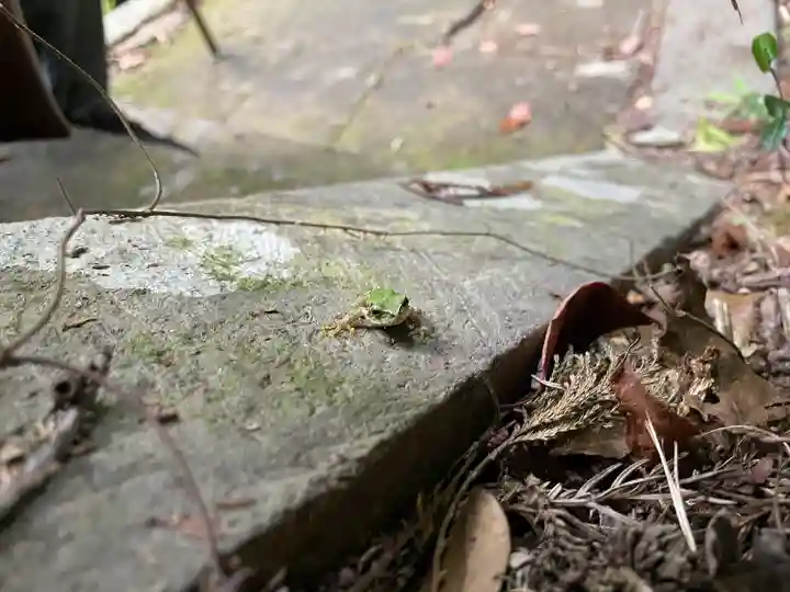 白馬渓大神宮の動物