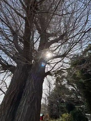 堤治神社(愛知県)