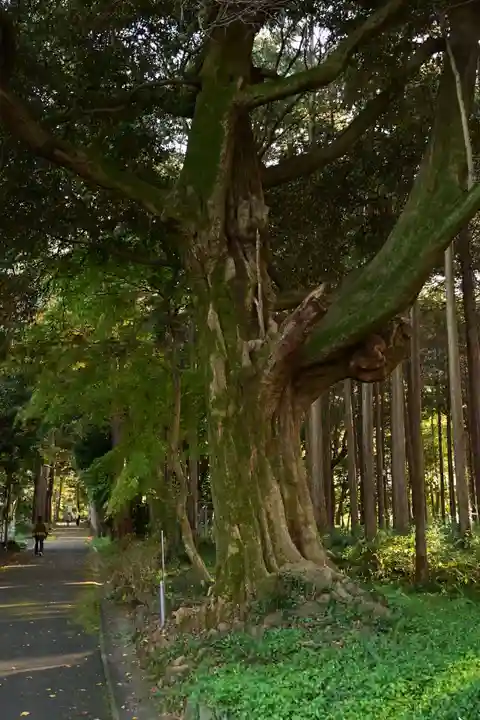 瑞応寺(愛媛県)