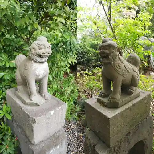 菊田神社の狛犬