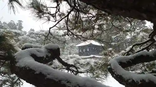 慈照寺（慈照禅寺・銀閣寺）(京都府)