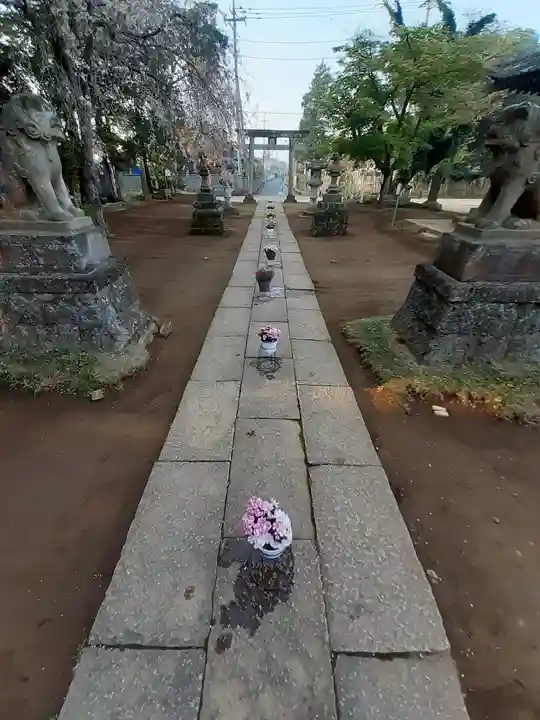 伏木香取神社の自然