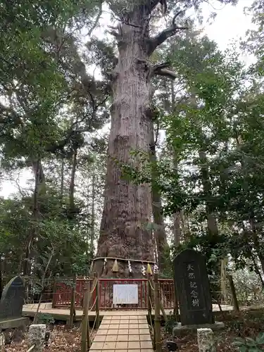 麻賀多神社(千葉県)
