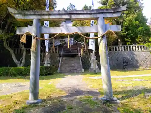 津島神社の鳥居