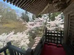 青龍山 吉祥寺(群馬県)