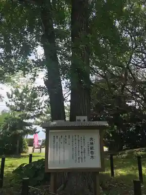 戸馳神社(熊本県)