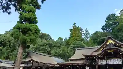 大神神社(奈良県)