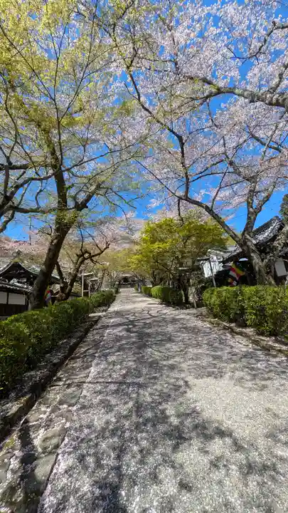 西教寺(滋賀県)