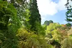 髙龍神社 中社(新潟県)