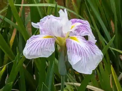 二本松寺(茨城県)