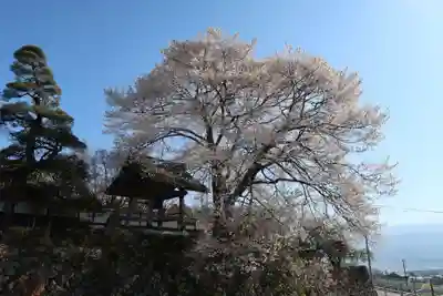 瑠璃寺(長野県)