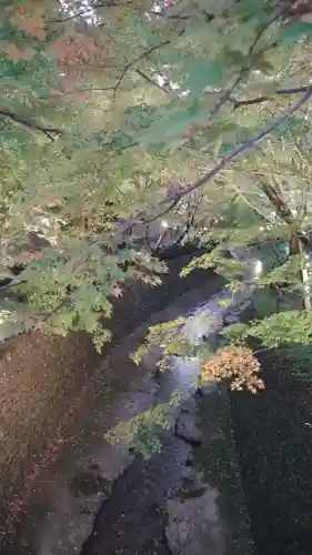 北野天満宮の周辺