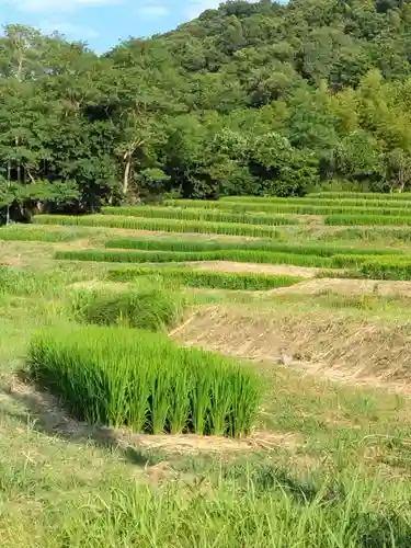 杉山神社（葉山・上山口）(神奈川県)