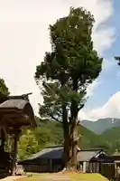 三島神社(愛媛県)