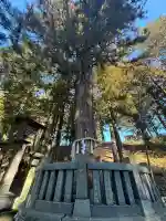 諏訪大社下社春宮(長野県)