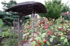 常泉寺(神奈川県)