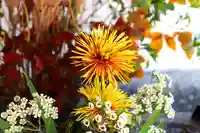 三津厳島神社の自然