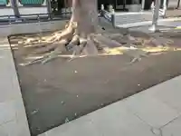 穴八幡宮の自然