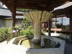 三室戸寺の手水