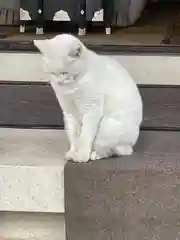 今戸神社(東京都)