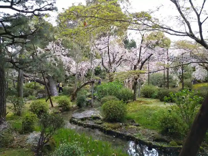 平安神宮(京都府)