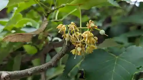 真正極楽寺（真如堂）(京都府)