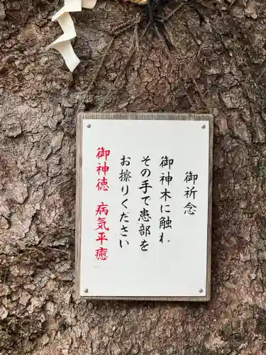 八幡社（児子八幡社）の{uncategorized: "未分類", other: "その他", undefined: "問題あり", building: "その他建物", grave: "お墓", sacred_gate: "鳥居", guardian: "狛犬", statue: "像", buddha: "仏像", history: "歴史", nature: "自然", garden: "庭園", animal: "動物", pagoda: "塔", temizu: "手水舎", mountain_gate: "山門・神門", sanctuary: "本殿・本堂", subordinate: "末社・摂社", art: "芸術", scenery: "景色", jizo: "地蔵", ema: "絵馬", goshuin: "御朱印", omikuji: "おみくじ", items: "授与品その他", amulet: "お守り", goshuincho: "御朱印帳", eats: "食事", festival: "お祭り", votive_dance: "神楽", shichigosan: "七五三参", wedding: "結婚式", experience: "体験その他", initially: "初詣", around: "周辺", anti_infection: "感染症対策"}