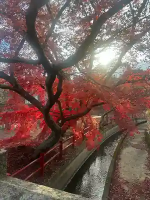 館腰神社(宮城県)