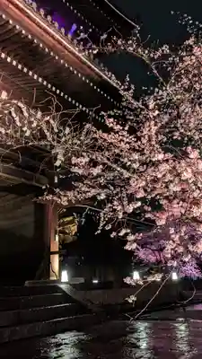 知恩院(京都府)