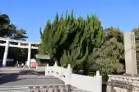 日前神宮・國懸神宮(和歌山県)