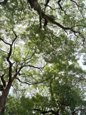 星川杉山神社(神奈川県)