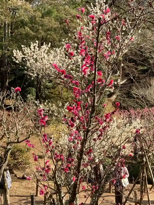 成田山新勝寺(千葉県)