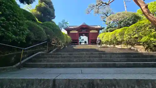 護国寺の{uncategorized: "未分類", other: "その他", undefined: "問題あり", building: "その他建物", grave: "お墓", sacred_gate: "鳥居", guardian: "狛犬", statue: "像", buddha: "仏像", history: "歴史", nature: "自然", garden: "庭園", animal: "動物", pagoda: "塔", temizu: "手水舎", mountain_gate: "山門・神門", sanctuary: "本殿・本堂", subordinate: "末社・摂社", art: "芸術", scenery: "景色", jizo: "地蔵", ema: "絵馬", goshuin: "御朱印", omikuji: "おみくじ", items: "授与品その他", amulet: "お守り", goshuincho: "御朱印帳", eats: "食事", festival: "お祭り", votive_dance: "神楽", shichigosan: "七五三参", wedding: "結婚式", experience: "体験その他", initially: "初詣", around: "周辺", anti_infection: "感染症対策"}