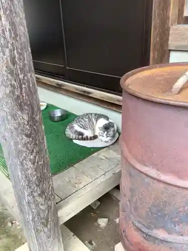 八大龍王本殿の動物