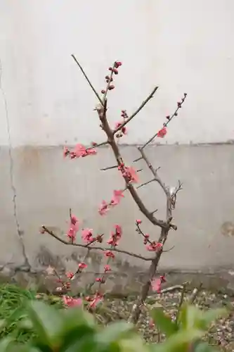 御霊神社(奈良県)