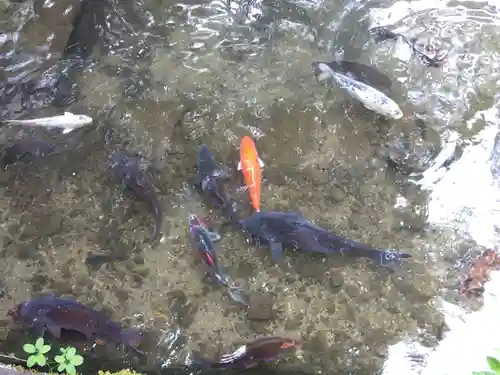 玉龍寺(岐阜県)