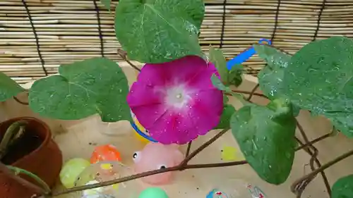 阿邪訶根神社の手水舎