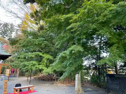 國魂神社の庭園