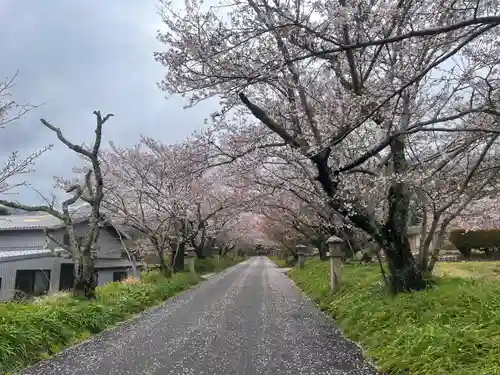 鰐鳴八幡宮(山口県)
