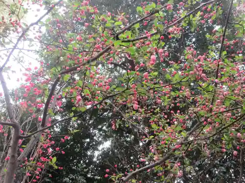 川越八幡宮(埼玉県)