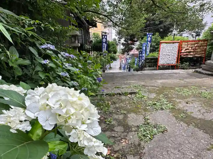 大綱金刀比羅神社(神奈川県)