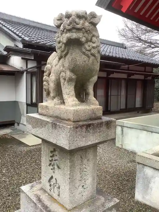 住吉神社(下津住吉町)の狛犬