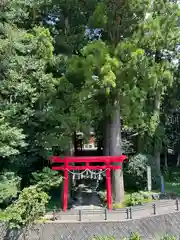 須山浅間神社(静岡県)