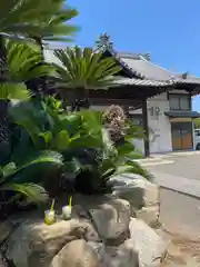 津嶋神社(香川県)