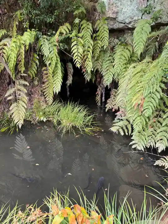 大藏辯財天(神奈川県)