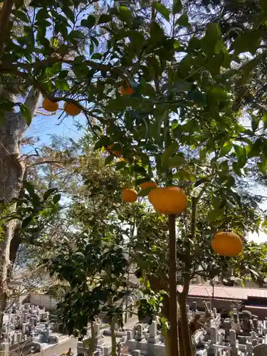 真勝寺(神奈川県)