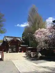 秩父神社の建物その他