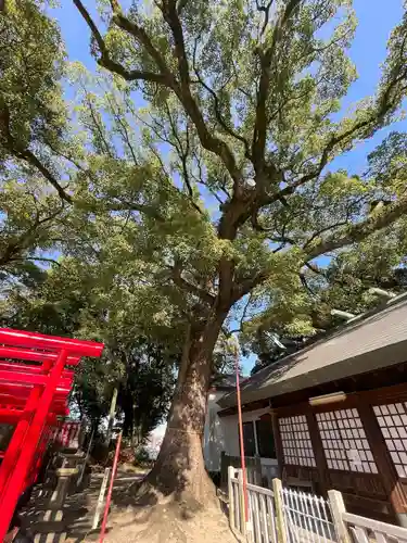 熊野三社(愛知県)