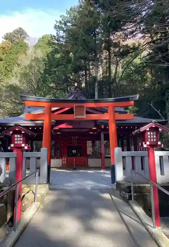 箱根神社の鳥居